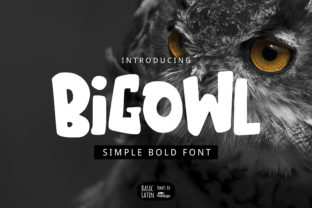 Big Owl: A Versatile Display Font for Creative Crafters