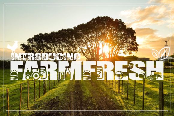 Farm Fresh: The Creative Font That Elevates Your Brand