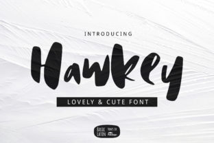 Hawkey: A Fun and Quirky Display Font for Creative Branding